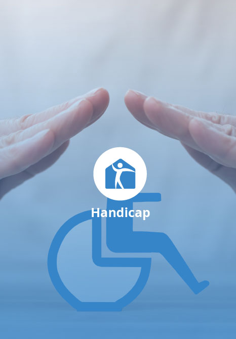 entree_services_handicap